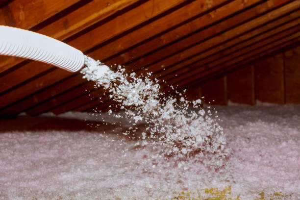 Best Insulation Air Sealing  in Lamar, SC